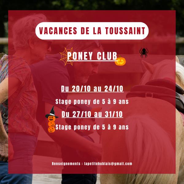 STAGE VACANCES DE LA TOUSSAINT